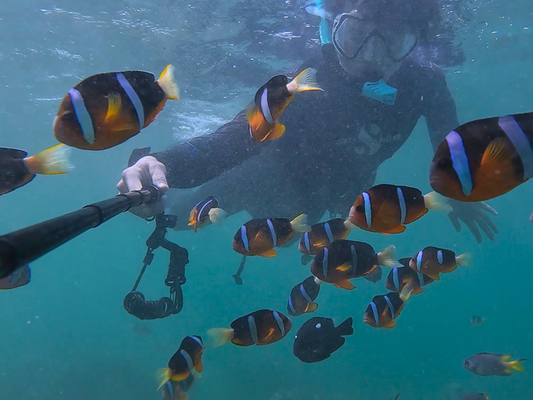 探探小丑魚之家水族館